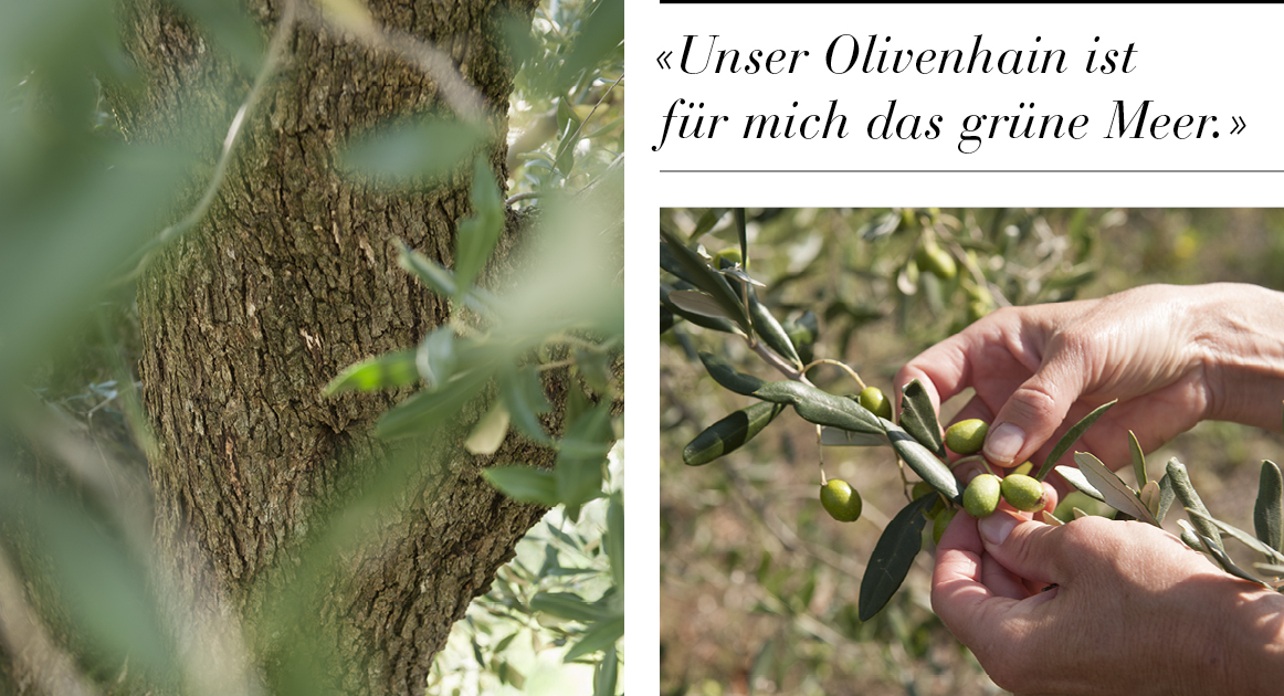 Olivenöl Zitat